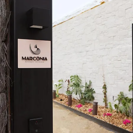 Marconia 203